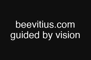 beevitius.com guided by vision